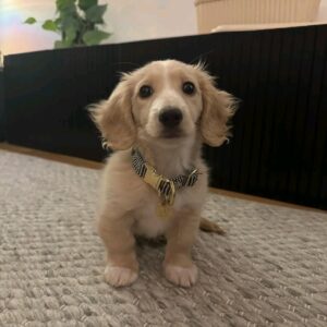 Micky