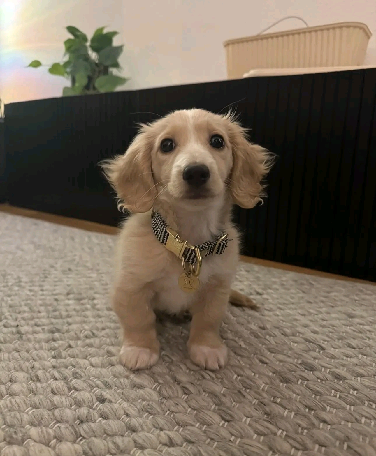 Micky